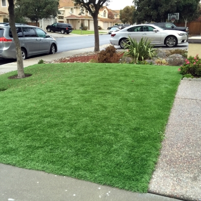 Grass Installation Cressey, California Landscaping Business, Front Yard Landscape Ideas