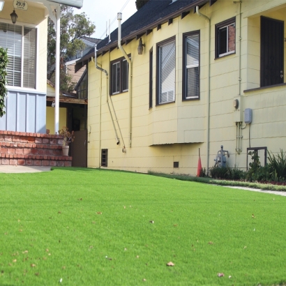 Grass Installation Gustine, California Landscaping Business, Front Yard Landscaping Ideas