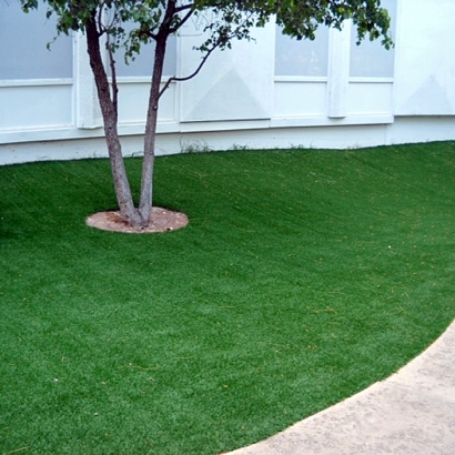 Grass Turf Delhi, California Landscape Rock, Commercial Landscape