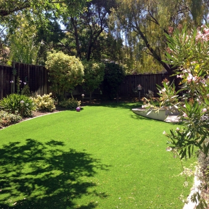 Grass Turf Dos Palos, California City Landscape, Backyard Landscaping Ideas