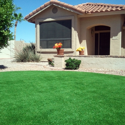 Grass Turf Dos Palos, California Design Ideas, Front Yard Landscaping Ideas