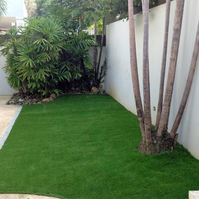 Grass Turf El Nido, California Backyard Deck Ideas, Small Backyard Ideas