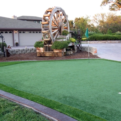 Grass Turf Livingston, California Roof Top, Front Yard Landscaping Ideas