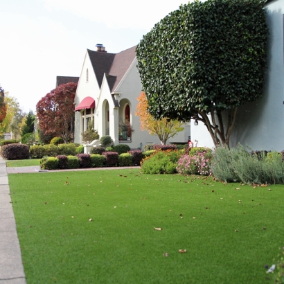 Grass Turf Livingston, California Rooftop, Front Yard Landscaping