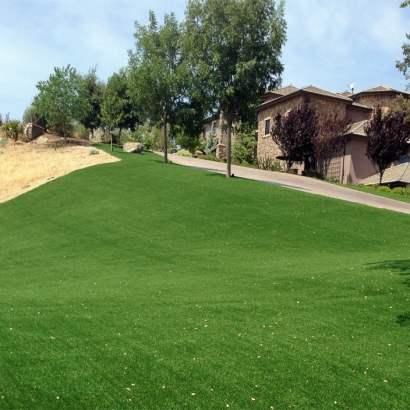 Green Lawn Atwater, California Landscaping, Front Yard Landscaping