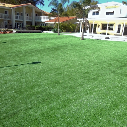 Green Lawn South Dos Palos, California Home And Garden, Backyard Pool