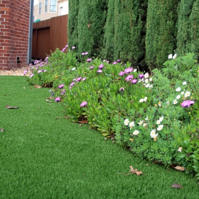 Green Lawn Tuttle, California Garden Ideas, Front Yard