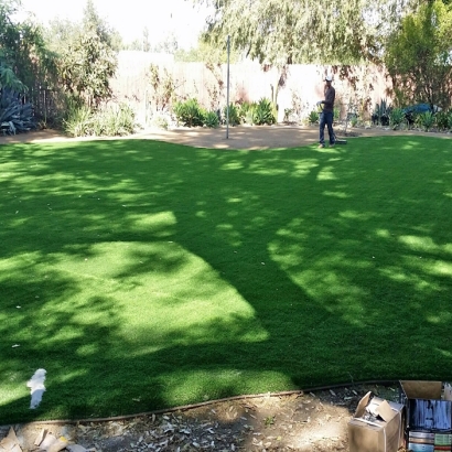 Lawn Services Cressey, California City Landscape, Backyard Design