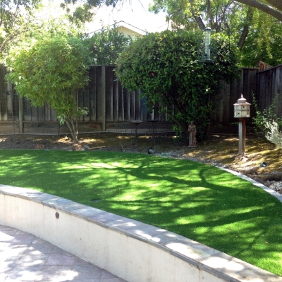 Outdoor Carpet Atwater, California Roof Top, Commercial Landscape