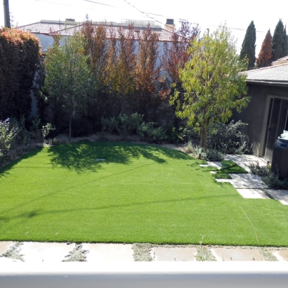 Outdoor Carpet Dos Palos, California City Landscape, Backyard Garden Ideas