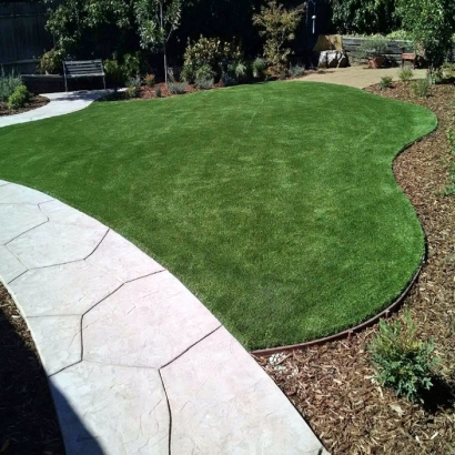 Outdoor Carpet Snelling, California Landscaping Business, Landscaping Ideas For Front Yard