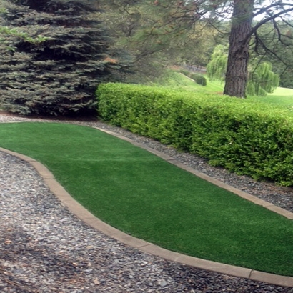 Outdoor Carpet South Dos Palos, California Landscaping Business