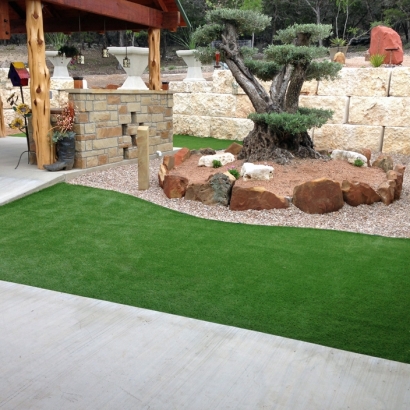 Outdoor Carpet Tuttle, California Rooftop, Backyard Design