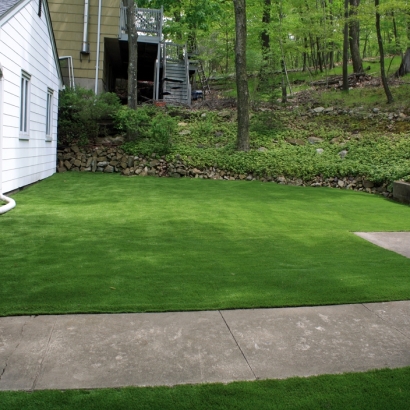 Plastic Grass Atwater, California Landscaping, Front Yard Design