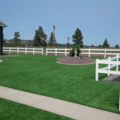 Plastic Grass Delhi, California Landscape Design, Backyard Landscape Ideas