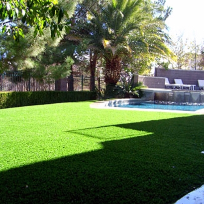 Plastic Grass Livingston, California Roof Top, Pool Designs