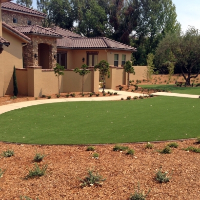 Plastic Grass Planada, California Design Ideas, Small Front Yard Landscaping