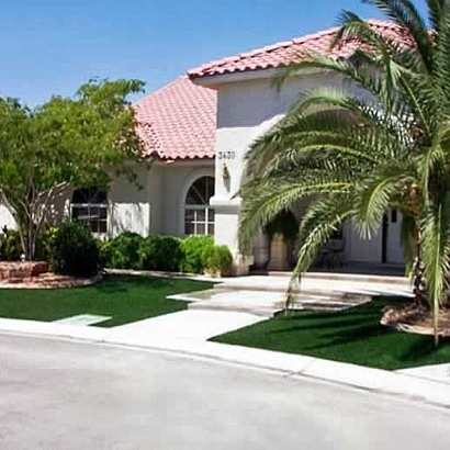 Plastic Grass Tuttle, California Landscape Photos, Front Yard Landscaping