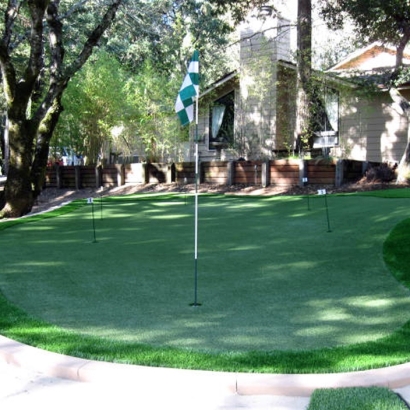 Synthetic Grass Bear Creek, California City Landscape, Backyards