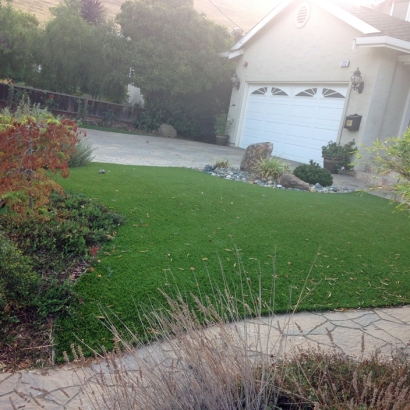 Synthetic Grass Cost Delhi, California Lawns, Front Yard Design