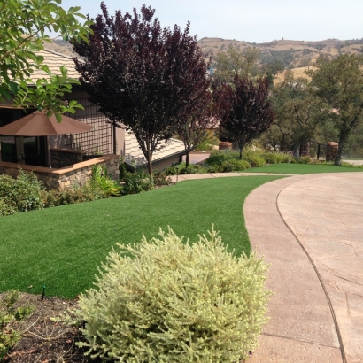 Synthetic Grass Cost Stevinson, California Landscape Ideas, Front Yard Ideas