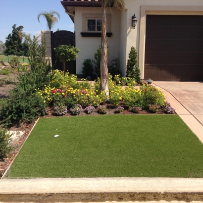 Synthetic Grass Cost Winton, California Roof Top, Front Yard Ideas