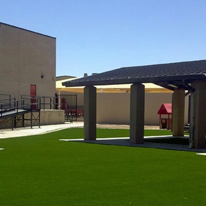 Synthetic Grass Cressey, California Landscaping Business, Commercial Landscape