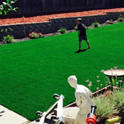 Synthetic Grass Gustine, California Landscaping, Backyards