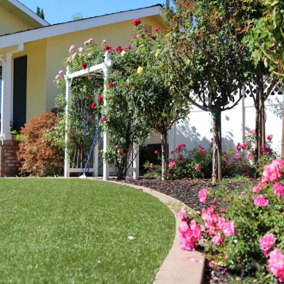 Synthetic Grass Hilmar-Irwin, California Landscape Photos, Front Yard Design