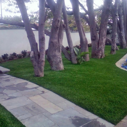 Synthetic Grass Livingston, California Landscape Photos, Front Yard Landscape Ideas