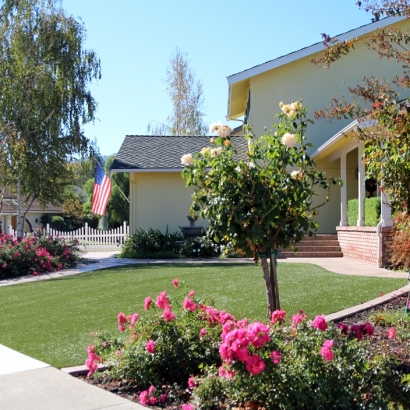 Synthetic Lawn Ballico, California Rooftop, Front Yard Landscaping