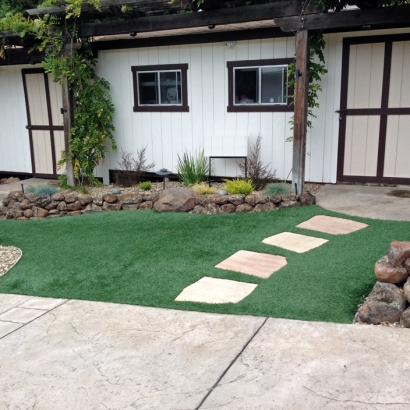 Synthetic Lawn Cressey, California Lawn And Garden, Front Yard Landscaping