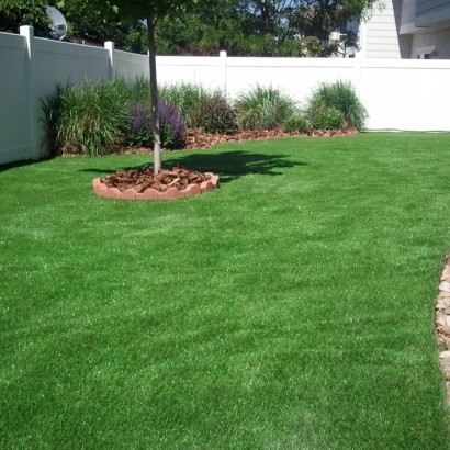 Synthetic Lawn Dos Palos, California Lawn And Landscape, Backyard