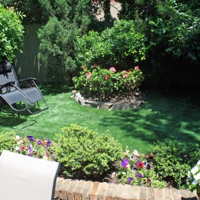 Synthetic Lawn Hilmar-Irwin, California Design Ideas, Backyards