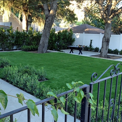 Synthetic Turf Ballico, California Landscape Photos, Landscaping Ideas For Front Yard