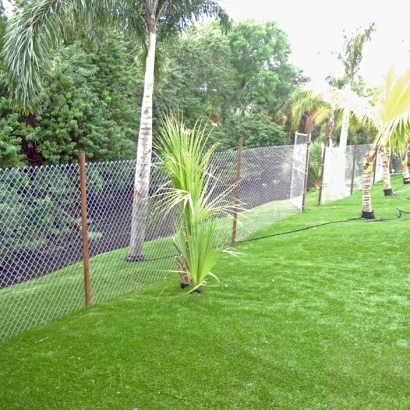 Synthetic Turf Gustine, California Roof Top, Backyard Ideas