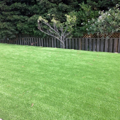 Synthetic Turf Le Grand, California Lawns, Backyard Landscaping Ideas