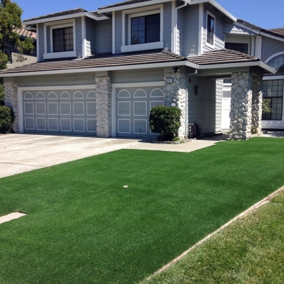 Synthetic Turf Livingston, California Landscape Photos, Front Yard Ideas