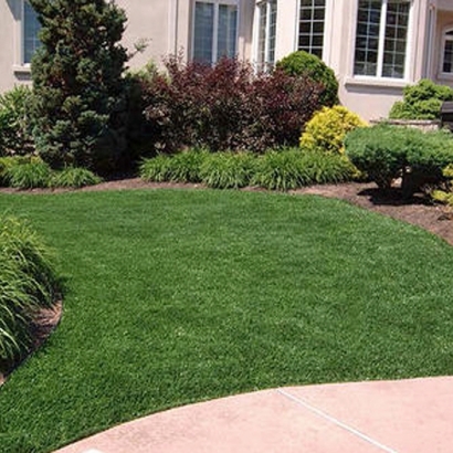 Synthetic Turf Stevinson, California Landscape Rock, Front Yard Design