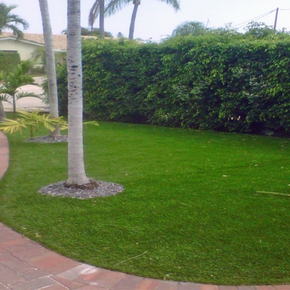 Synthetic Turf Supplier Cressey, California Backyard Playground, Front Yard Landscaping Ideas