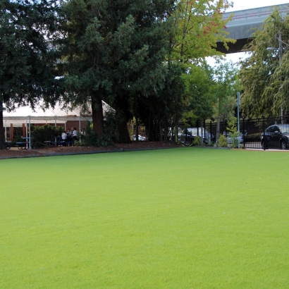 Synthetic Turf Supplier Dos Palos, California Gardeners, Commercial Landscape