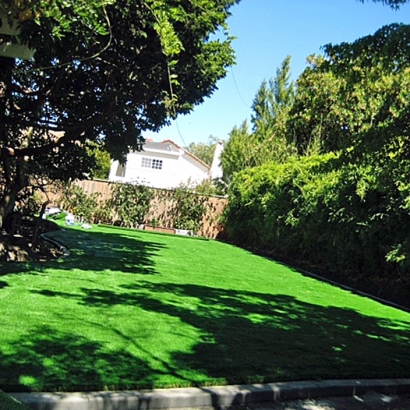 Synthetic Turf Supplier Planada, California Landscape Rock, Backyard Makeover