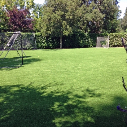 Synthetic Turf Supplier Tuttle, California Paver Patio, Backyard