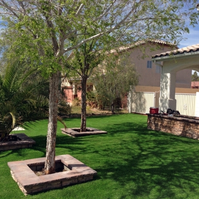 Synthetic Turf Winton, California Landscape Ideas, Front Yard