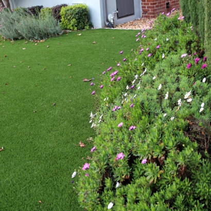 Turf Grass Atwater, California Lawns, Front Yard Ideas