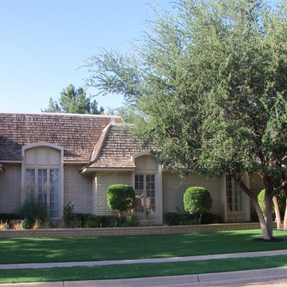 Turf Grass Delhi, California Home And Garden, Front Yard Ideas