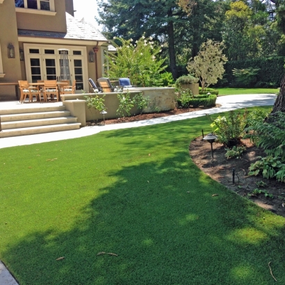 Turf Grass Le Grand, California Landscaping Business, Backyard Design