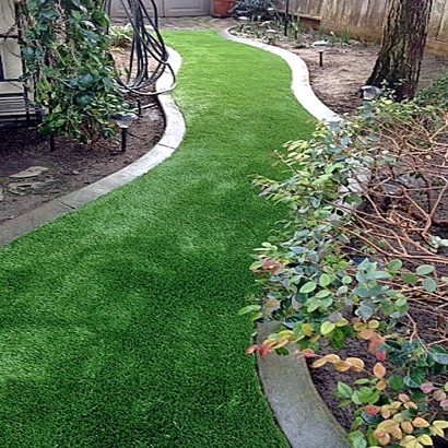 Turf Grass Le Grand, California Landscape Photos, Backyard Landscape Ideas