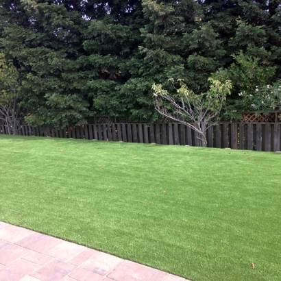 Turf Grass Le Grand, California Landscaping Business, Beautiful Backyards