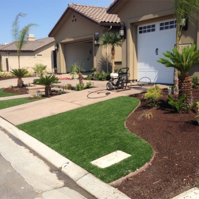 Turf Grass Planada, California Design Ideas, Front Yard Landscaping Ideas